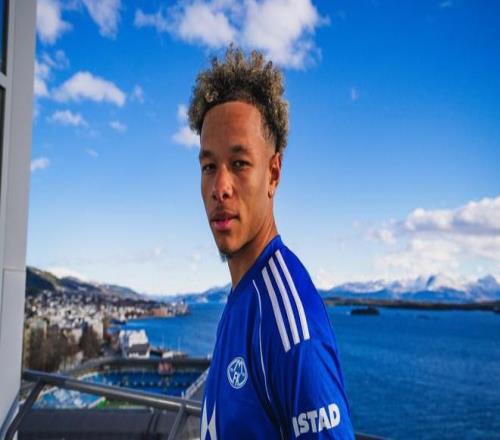 掘金力克猛,龙约基奇三,双闪耀,太阳城,太阳城娱乐,太阳城app,太阳城赌场