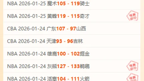莫德裏奇技术亮点解析